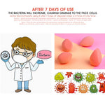 Makeup Foundation Sponge