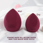Makeup Foundation Sponge