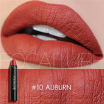 Waterproof Matte Lipstick