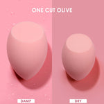Facial Foundation Powder Makeup Sponge