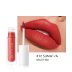 Long Lasting Matte Liquid Lipstick
