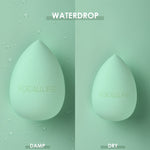Facial Foundation Powder Makeup Sponge